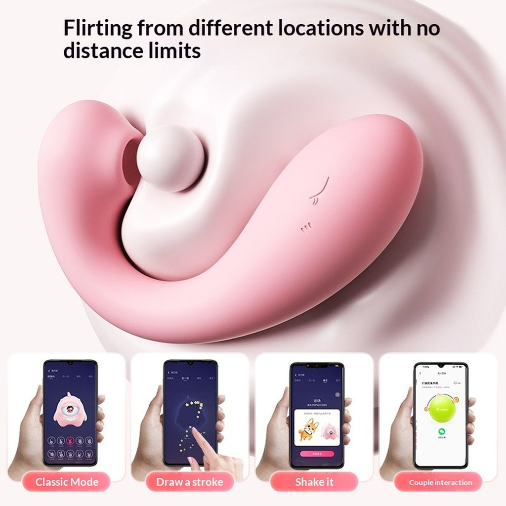 Vibro-Ei & Dildo Set – Tragbares Stimulations-Set
