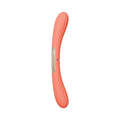 Vibrator mit Fernbedienung und Fernkontrolle