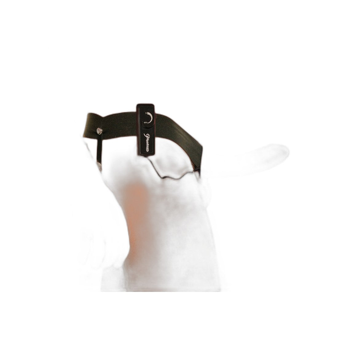 Hoehlenvibrieren-Harness - Fuer Zwei