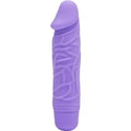 Beautiful Encounter Vibrator 24 cm